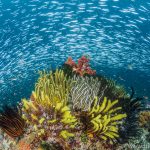 151221-D7100_RAJ4453-3