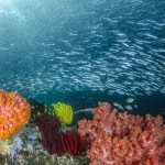 151223-D7100_RAJ4865-2