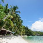 Triton_tops (10 of 10) (Copy)