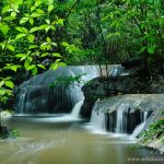 river halmahera weda resort 1