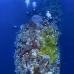 Dive site Blade, at Wakatobi, Indonesia