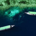 Dive boats on the reef_photo by Didi Lotze
