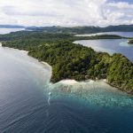 North Sulawesi, Nord Sulawesi, Celebes Sea, Murex Manado