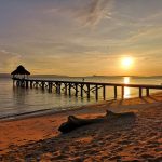 32982076_10216007811256163_7782466240542408704_o