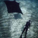 4. Snorkeling with manta ray