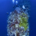 Dive site Blade, at Wakatobi, Indonesia