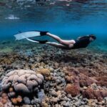 80026213_519566648648257_8246901012971913216_n