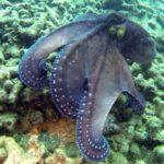 1926239_634172643303454_1775933899_o