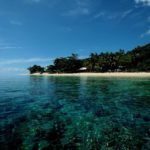 558418_383527691701285_1662903514_n