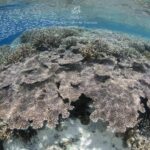 280182976_163666319446301_996902132600056279_n